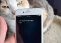 Spam Call