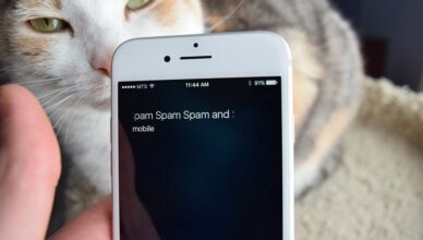 Spam Call