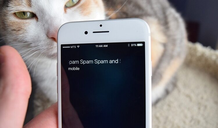 w To Identify A Spam Call Spam Call