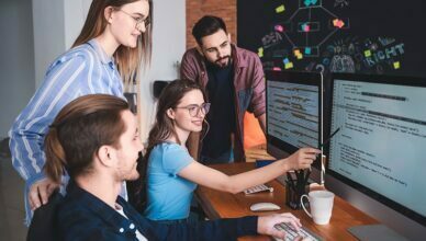 Software Development