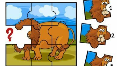 Jigsaw Puzzle